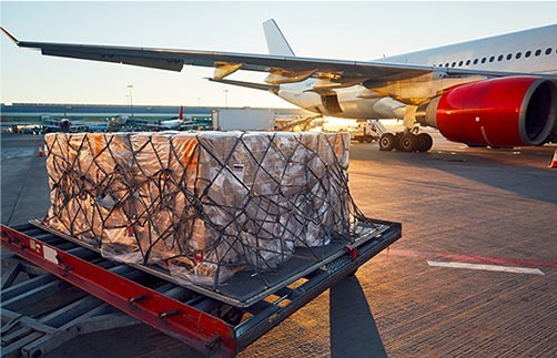 Innovative Healthcare and Medical Logistics Solutions - Leads Shipping and Air Cargo Logistics Company LTD.